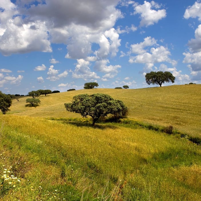 Alentejo