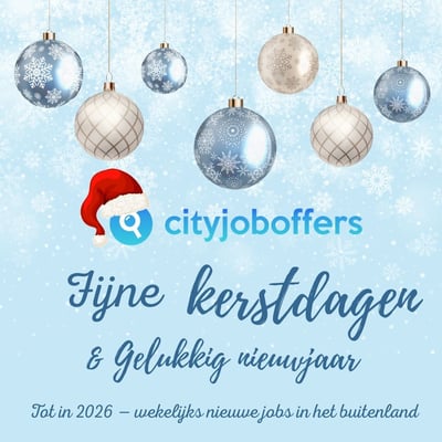 Fijne kerstdagen & Gelukkig nieuwjaar 🎄✨