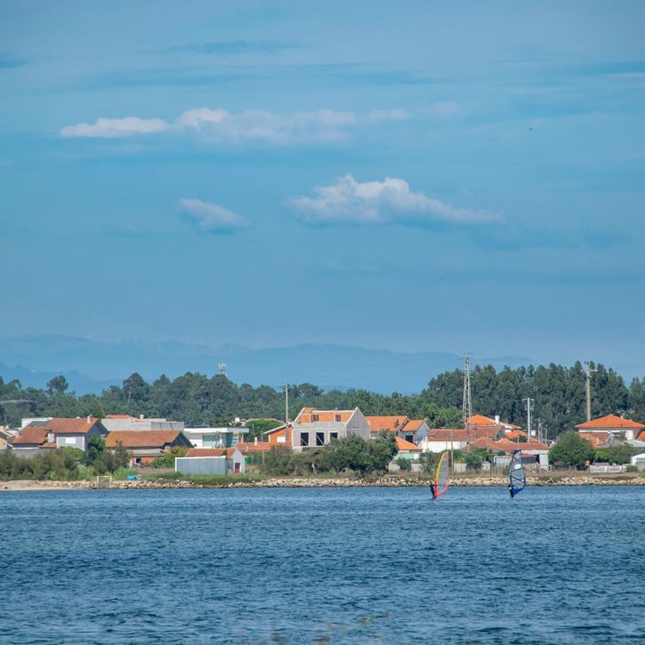 Braga & Guimarães (1)