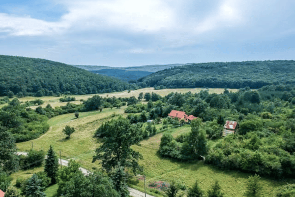 Kundenbetreuer/in mit Deutschkenntnissen – Komm zu Kaizen nach Bulgarien!