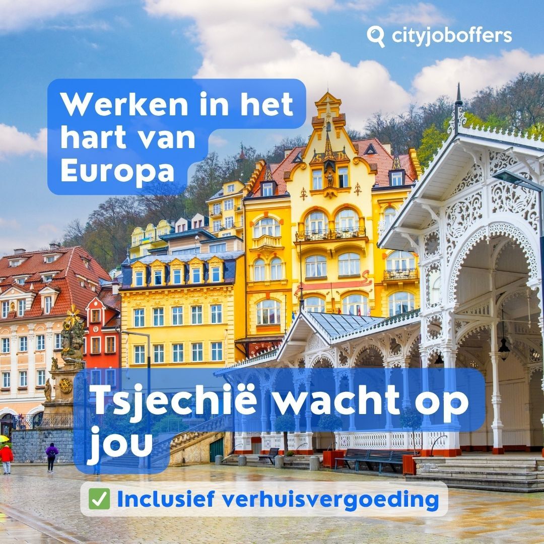 https://cityjoboffers.com/hubfs/We%20help%20you%20with%20your%20job%20search%20plan%20%281080%20x%201080%20px%29%20%282%29.jpg